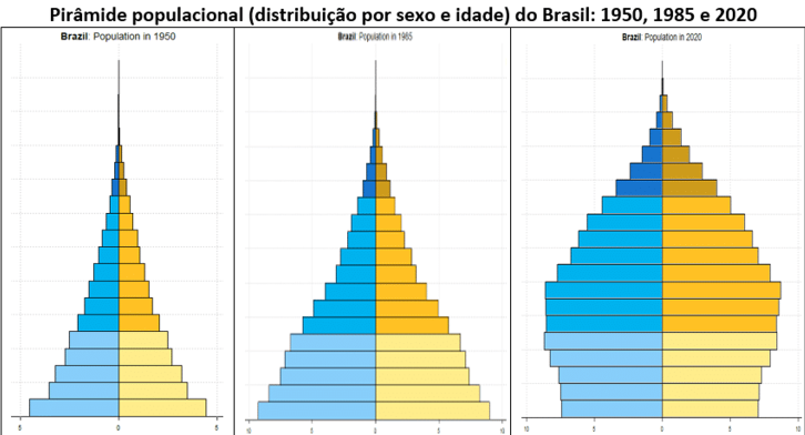 Pirâmide Populacional